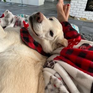 Meet your Posher, Sandra